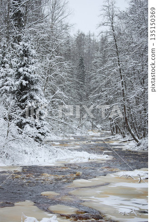 a calm winding river in a snowy forest, trees under the snow in the forest, peace and quiet, reflection on the water, without people a calm winding river in a snowy forest, trees under the snow in the forest, peace and quiet, reflection on the water, without people 135150369