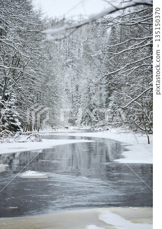 a calm winding river in a snowy forest, trees under the snow in the forest, peace and quiet, reflection on the water, without people a calm winding river in a snowy forest, trees under the snow in the forest, peace and quiet, reflection on the water, without people 135150370