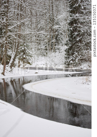 a calm winding river in a snowy forest, trees under the snow in the forest, peace and quiet, reflection on the water, without people a calm winding river in a snowy forest, trees under the snow in the forest, peace and quiet, reflection on the water, without people 135150371