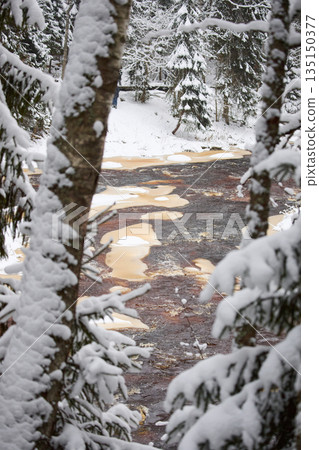 a calm winding river in a snowy forest, trees under the snow in the forest, peace and quiet, reflection on the water, without people 135150377