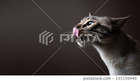 profile view of hungry bengal cat licking mouth 135150440