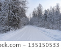 Winter landscape. Snow covered road in winter forest. High quality photo 135150533