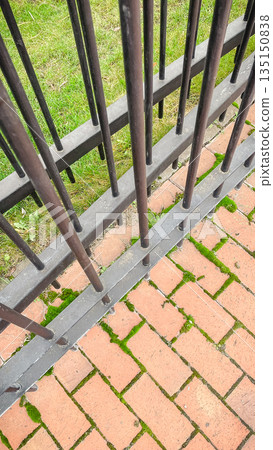 Black metal fence over red brick pavement with green moss growing between stones in a city park 135150838