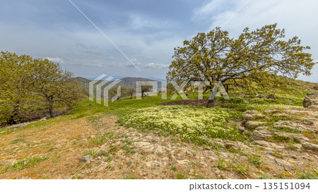 Spring landscape in the mountains of Lesbos Spring landscape in the mountains of Lesbos 135151094
