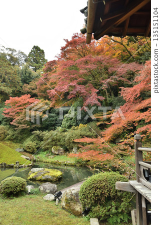 Shoren-in Temple in autumn: Soami Garden seen from the Kogosho (Higashiyama Ward, Kyoto City) 135151104