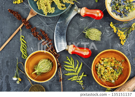 Herbal Medicine Concept 135151137