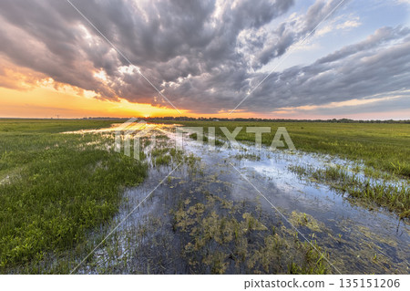 Wetland landscape with orange colored sunset Wetland landscape with orange colored sunset 135151206