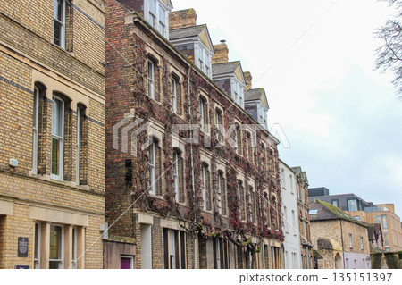 Oxford, United Kingdom - Dec 22, 2025: The Ivy Tree House is uniquely ivy-covered building in Oxford on New Inn Hall Street, known for its magnificent ivy growth. Oxford, United Kingdom - Dec 22, 2025: The Ivy Tree House is uniquely ivy-covered building in Oxford on New Inn Hall Street, known for its magnificent ivy growth. 135151397