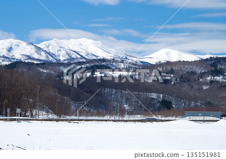 從北海道黑松內町眺望白雪皚皚的大平山 135151981