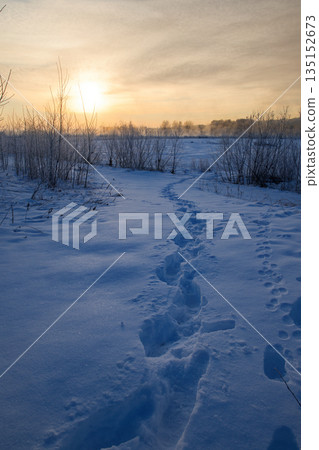 與腳印的一個多雪的領域 與腳印的一個多雪的領域 135152673