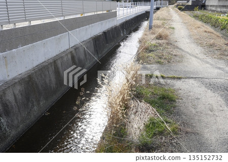 水流經混凝土灌溉渠道的景象。 135152732