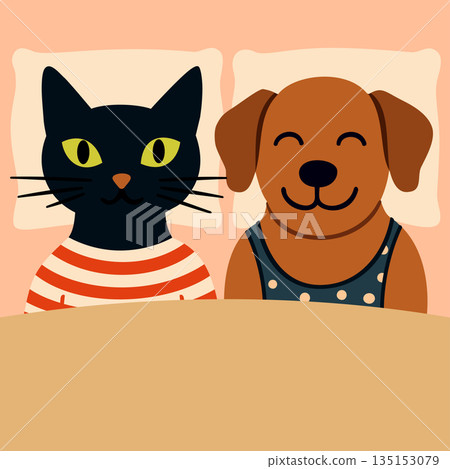Pet shop advertisement Black cat and brown dog lying in bed on pillows covered with blanket Vector illustration Pet shop advertisement Black cat and brown dog lying in bed on pillows covered with blanket Vector illustration 135153079