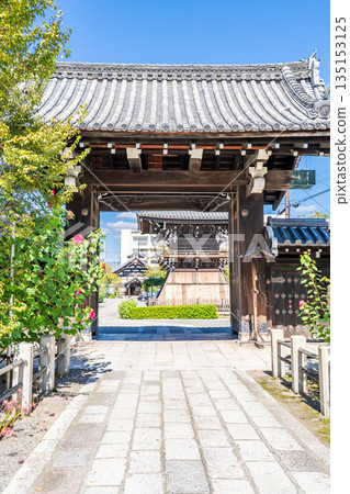 Kyoto Nishijin, Ubokusan Myorenji Temple, Main Gate, Temple famous for its hibiscus flowers, Teranouchi-dori Myorenji-maecho, Kamigyo Ward 135153125