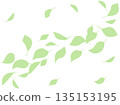 Illustration of green silhouettes of leaves dancing in the wind 135153195