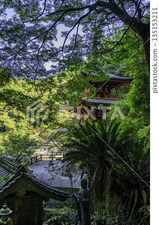 四國88座寺廟之第36名：青龍寺，三重塔，高知縣土佐市 135153211