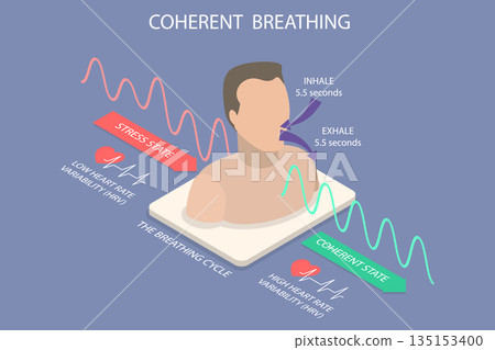 3D Isometric Flat Vector Illustration of Coherent Breathing, Stress Vs Breathing Cycle 3D Isometric Flat Vector Illustration of Coherent Breathing, Stress Vs Breathing Cycle 135153400