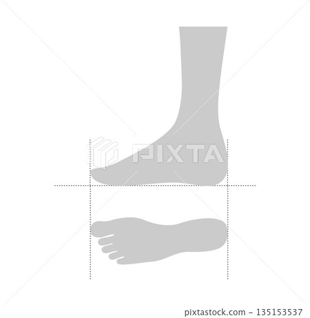 Shoe sizing measurement guide flat. Calf circumference, ankle ball girth for apparel industry design catalog footwear 135153537