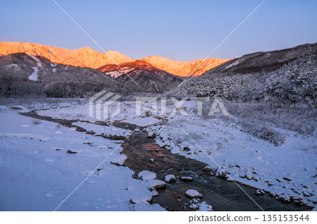 白馬三山牽牛花與白雪皚皚的松川 [攝於白馬橋] 135153544