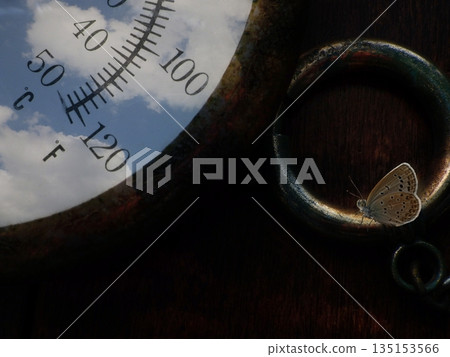 A collage of a rusty old thermometer, the sky, and a lycaenid butterfly 135153566