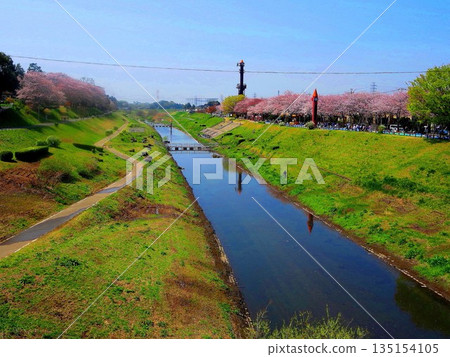 2014.4.8 Tone Canal and cherry blossoms 2014.4.8 Tone Canal and cherry blossoms 135154105