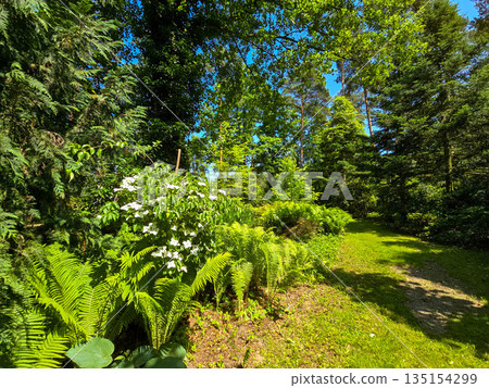 Botanical Oasis A Symphony of Blooming Harmony Botanical Oasis A Symphony of Blooming Harmony 135154299