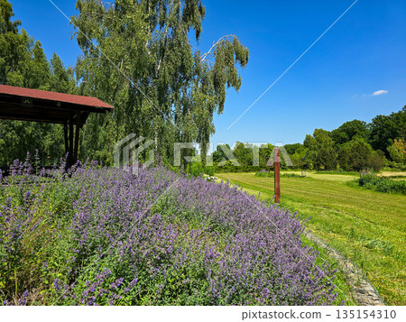 Botanical Wonderland A Symphony of Blooms Botanical Wonderland A Symphony of Blooms 135154310