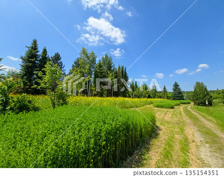 Botanical Paradise A Living Oasis in Full Bloom Botanical Paradise A Living Oasis in Full Bloom 135154351