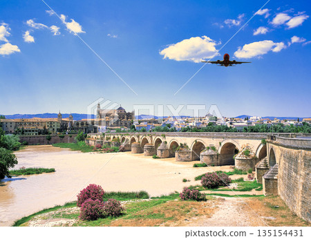 View of the old town of Cordoba and the Roman Bridge 135154431