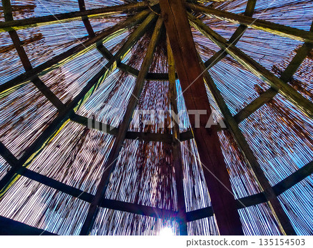 Enchanted Botanical Garden A Symphony of Colors and Greenery 135154503