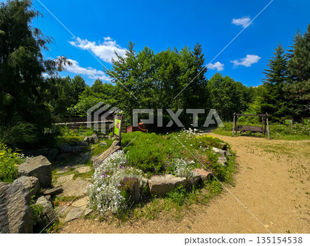 Botanical Paradise Lush Garden Splendor 135154538
