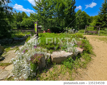 Botanical Paradise Lush Garden Splendor 135154539