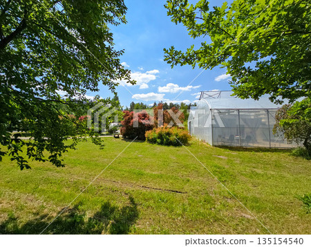 Botanical Paradise Lush Garden Splendor 135154540