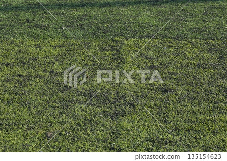 artificial green grass turf sport soccer field with black rubber granules infill artificial green grass turf sport soccer field with black rubber granules infill 135154623