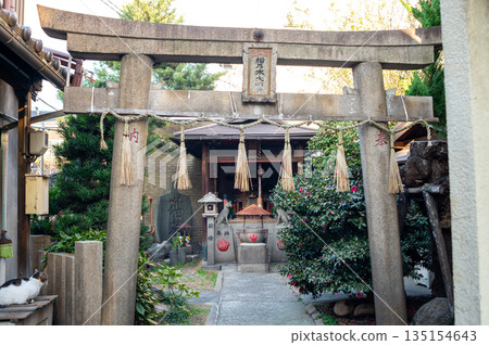 Cat Shrine (Matsunoki Daimyojin) 135154643
