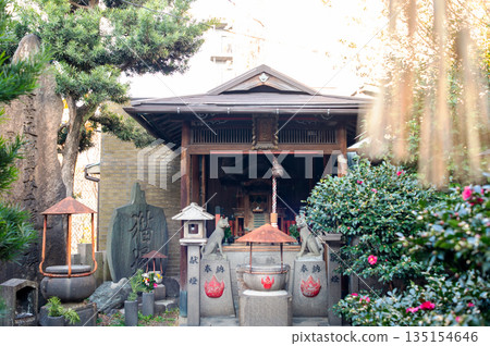 貓神社(松之木大名神) 貓神社(松之木大名神) 135154646