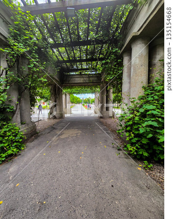 Concrete Tunnel Covered in Lush Ivy Concrete Tunnel Covered in Lush Ivy 135154668