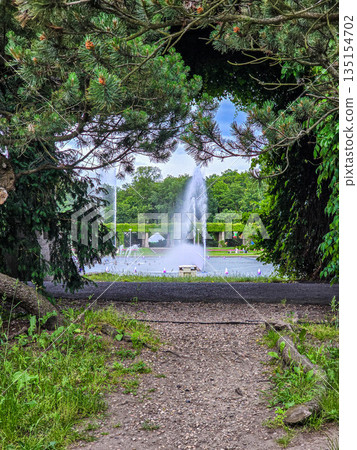 Concrete Tunnel Covered in Lush Ivy Concrete Tunnel Covered in Lush Ivy 135154702
