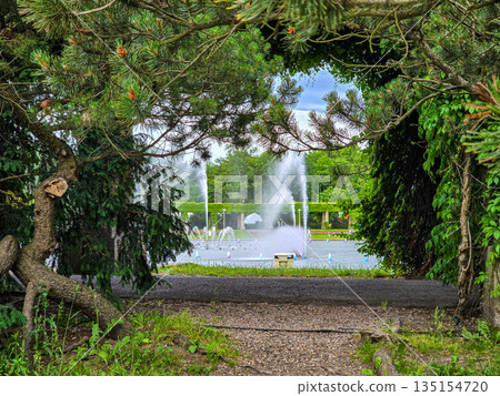 Concrete Tunnel Covered in Lush Ivy Concrete Tunnel Covered in Lush Ivy 135154720