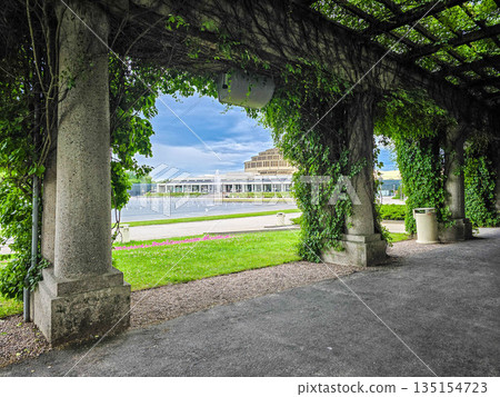 Concrete Tunnel Covered in Lush Ivy 135154723