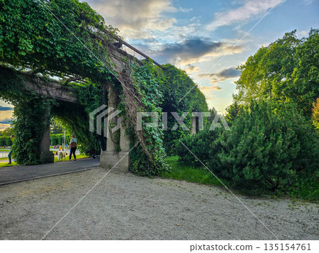 Concrete Tunnel Covered in Lush Ivy Concrete Tunnel Covered in Lush Ivy 135154761