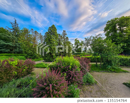 Lush Garden Greenery Bushes and Trees 135154764