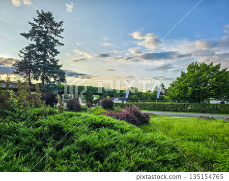 Lush Garden Greenery Bushes and Trees Lush Garden Greenery Bushes and Trees 135154765