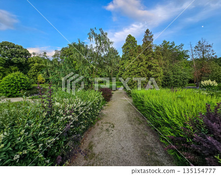 Lush Garden Greenery Bushes and Trees 135154777