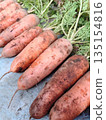 天然生長的紅蘿蔔 135154816