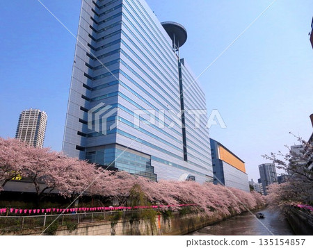 2019年4月7日,目黑阿爾科塔、目黑雅敘園及目黑川沿岸的櫻花。 2019年4月7日,目黑阿爾科塔、目黑雅敘園及目黑川沿岸的櫻花。 135154857