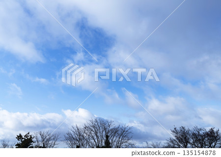 Winter sky, clouds and trees Winter sky, clouds and trees 135154878