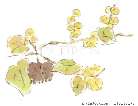 這是一幅冬青花的水彩插圖,冬青花是一種可愛的黃色花朵,在新年伊始盛開。 這是一幅冬青花的水彩插圖,冬青花是一種可愛的黃色花朵,在新年伊始盛開。 135155173