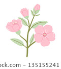 Pastel Cherry Blossom, Bloom and Green Leaves Hand-Drawn 135155241