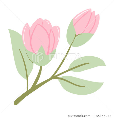 Pastel Cherry Blossom, Bloom and Green Leaves Hand-Drawn Pastel Cherry Blossom, Bloom and Green Leaves Hand-Drawn 135155242