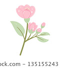 Pastel Cherry Blossom, Bloom and Green Leaves Hand-Drawn 135155243